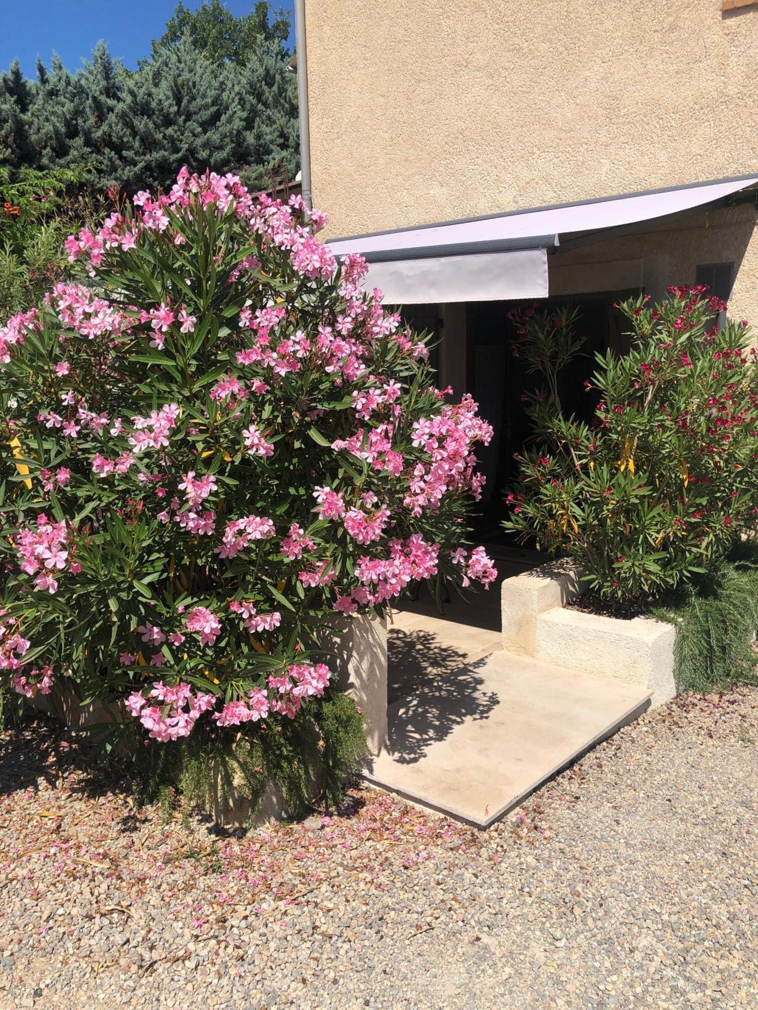 Apartmán Le Cocon De Provence Fayence Exteriér fotografie